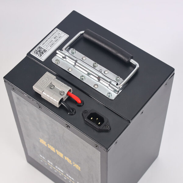 LFP BATTERY PACK 1