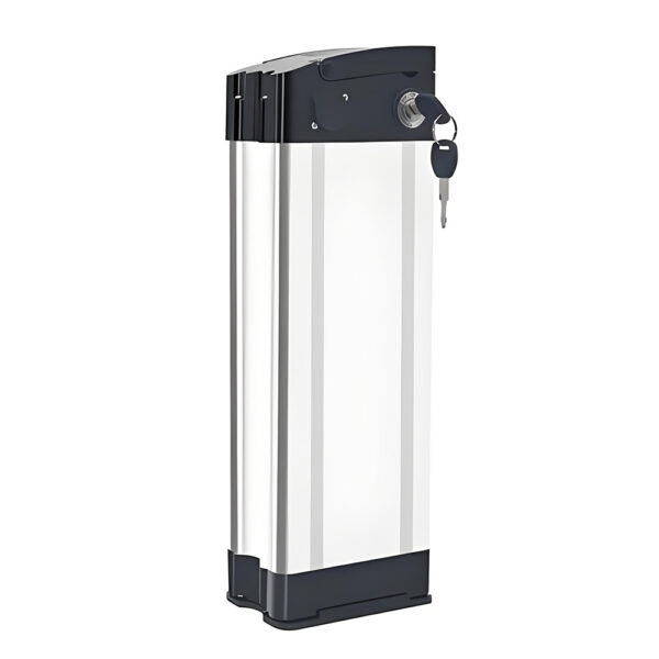 Custom Silverfish & Haiba Battery Packs: Tailored Solutions for Every Electric Vehicle - Image 2