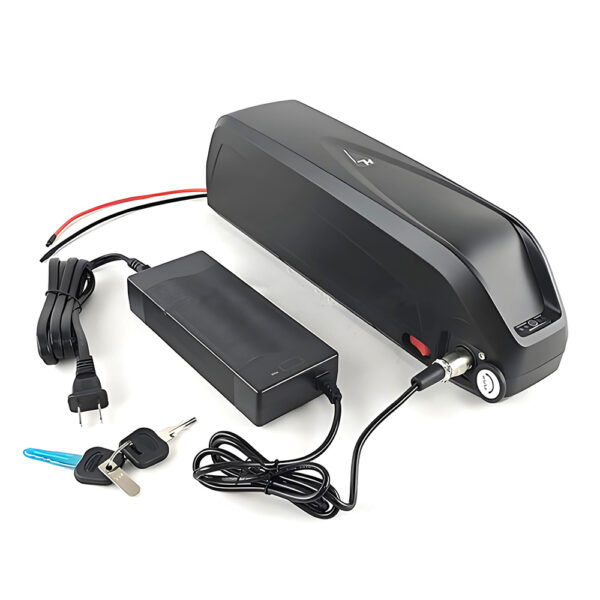Customizable High-Quality li ion Battery Packs for Electric Vehicles - Image 4