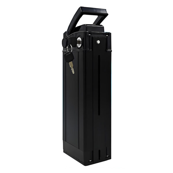 Custom Silverfish & Haiba Battery Packs: Tailored Solutions for Every Electric Vehicle